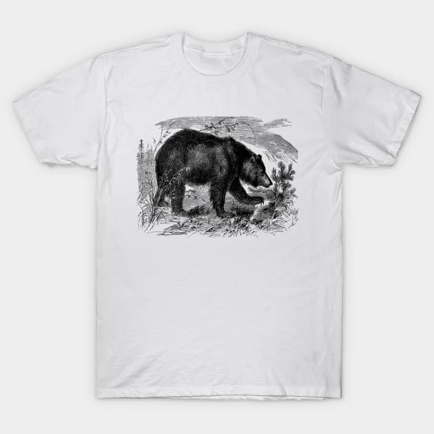 Bear on The Wild T-Shirt by ZyDesign